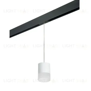 Трековый однофазный светильник Lightstar Rullo (213486+595887+202481) PRORP348681