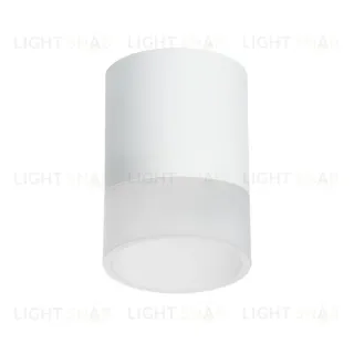 Накладной светильник Lightstar Rullo (213486+202481) R348681