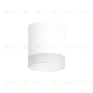 Накладной светильник Lightstar Rullo (213486+202480) R348680