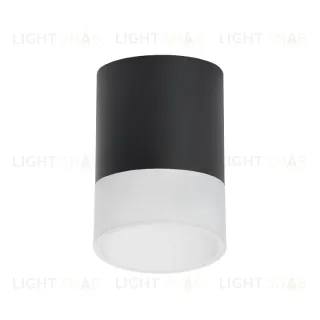 Накладной светильник Lightstar Rullo (213487+202481) R348781