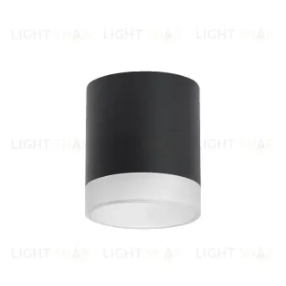 Накладной светильник Lightstar Rullo (213487+202480) R348780