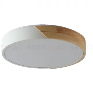 Потолочный светильник Zortes Alberro ZRS.01239.90