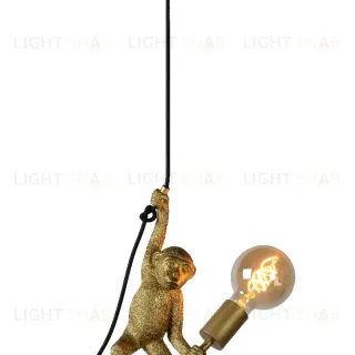 Подвесной светильник Lucide Extravaganza Chimp 10402/01/30