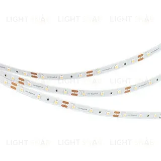 Светодиодная лента Arlight NT-A60-8mm 12V Cool 8K (4.8 W/m, IP20, 3528, 5m) 040613