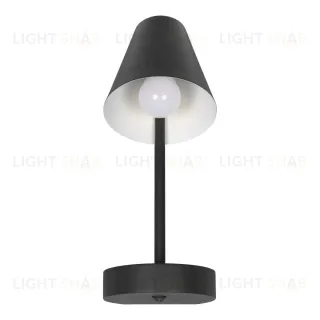 Бра Loft IT Shelf 10216/1W Black