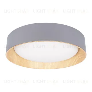 Потолочный светильник Loft IT Coin 10202 Grey