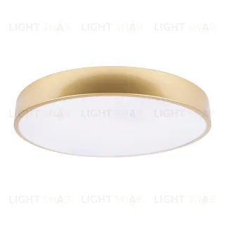 Потолочный светильник Loft IT Flims 10228/A