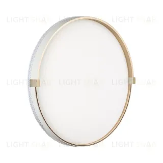 Настенно-потолочный светильник Sonex Olidi white 7646/DL