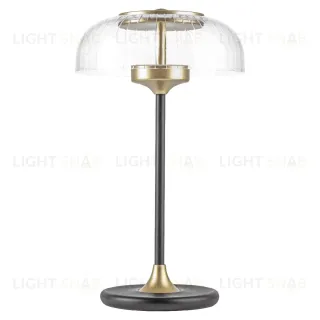 Настольная лампа Lightstar Acrile 738973