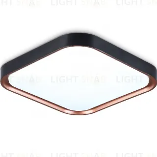 Потолочный светильник Ambrella Light Orbital Air FZ1265