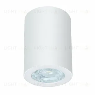 Накладной светильники Arte Lamp Tino A1468PL-1WH