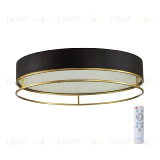 Потолочный светильник Sonex Lofty 7723/100L