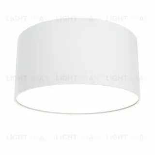 Потолочный светильник Maytoni Zon C032CL-12W3K-RD-W