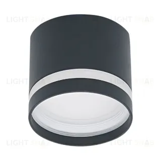 Накладной светильник Reluce 53001-9.5-001LD GX53 BK