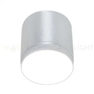 Накладной светильник Maytoni Polar C088CL-GX53-S