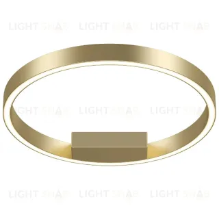Потолочный светильник Maytoni Rim MOD058CL-L25BSK