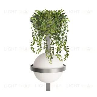 Настенный светильник Loft IT Jardin 10121W/B Dark grey