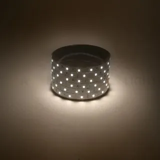 Светодиодная лента Эра 12В 2835 4,8Вт/м 3000K 5м IP20 LS2835-60LED-IP20-WW-eco-5m Б0035587