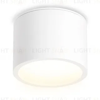 Накладной светильник Ambrella Light IP Protect TN6550