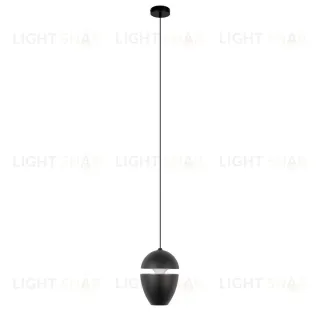 Подвесной светильник Loft IT Viterbo 10336 Black