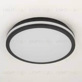 Потолочный светильник Citilux Luns CL711021V