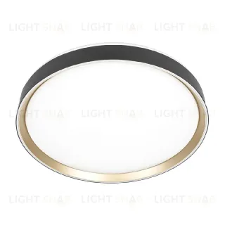 Потолочный светильник Citilux Boss CL751451G
