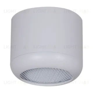 Накладной светильник Reluce 53016-9.5-001LD GX53 WT