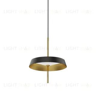 Подвесной светильник DeLight Collection MD18001061-1A  black/gold