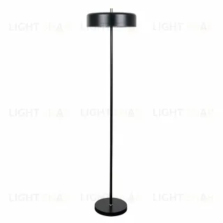 Торшер Arte Lamp Skat A7052PN-2BK