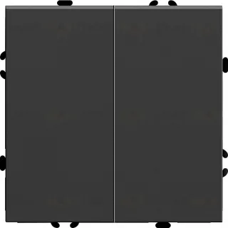 Выключатель двухклавишный Stekker RSW10-5104-05 Эмили 49840
