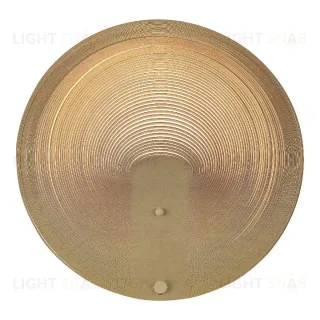 Настенный светильник ST Luce Fossil SL6900.501.16