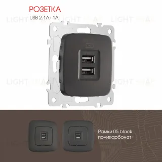 Розетка USB 2.1А+1А Arte Milano 205.46-1.black