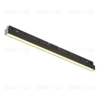 Трековый магнитный светильник Maytoni Basis TR030-2-24W2.7K-B