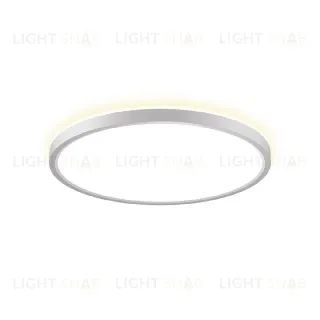 Потолочный светильник Citilux Norma CL748320