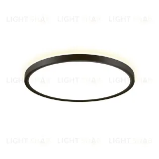 Потолочный светильник Citilux Norma CL748321