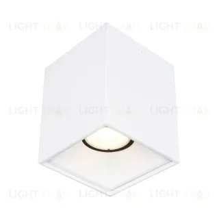 Накладной светильник ST Luce ST168.502.01
