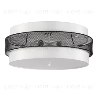 Потолочный светильник Lumion Animaisa 8002/6C
