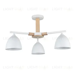 Люстра на штанге Lumion Colange 8095/3C