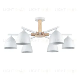 Люстра на штанге Lumion Colange 8095/6C