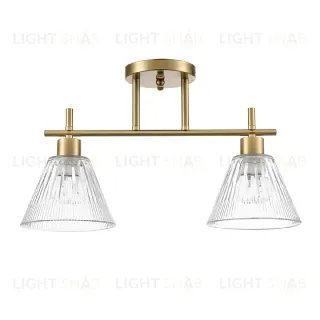 Потолочный светильник Lumion Vivian 8188/2C