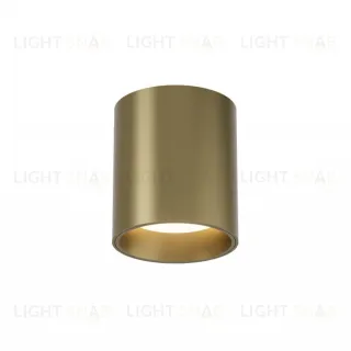 Накладной светильник Denkirs Shine tube DK2610-SB
