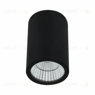 Уличный потолочный светильник Arte Lamp Torcular A1807PF-1BK