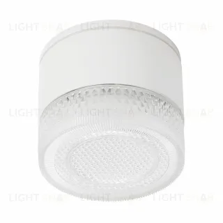 Уличный потолочный светильник Arte Lamp Piautos A1926PF-1WH