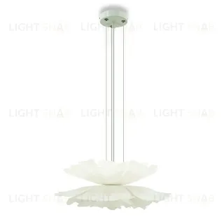 Подвесная люстра Lightera Chad LE116L-60W