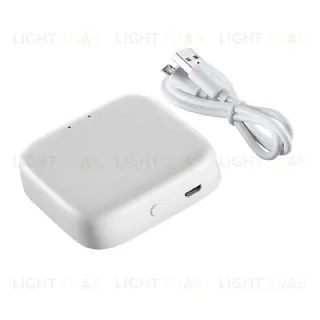 Интеллектуальный Bluetooth-шлюз для умного дома Novotech Easy Gate 359457