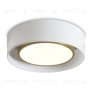 Потолочный светильник Freya Cozy FR6170CL-L52BS