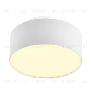 Накладной светильник ST Luce ST166.532.17