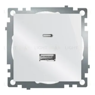 Розетка 2-местная USB + type C Stekker Катрин GLS10-7116-01 50051