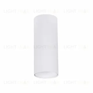 Накладной светильник Arte Lamp Net Mini A6450PL-1WH