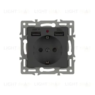 Механизм розетки с USB зарядкой Arlight SCT-MUAA-PL-BK (250V, 16A) 043734